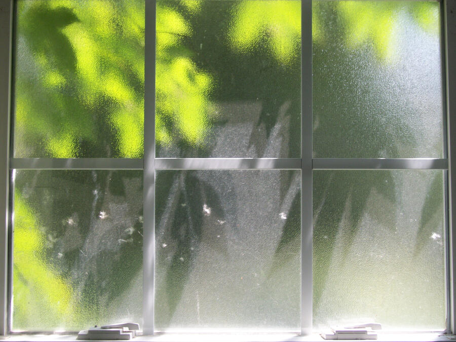 Window, 2024